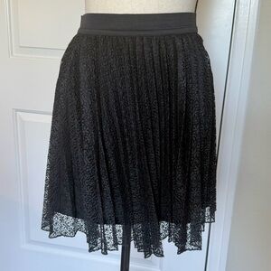 Lace Pleated Skirt